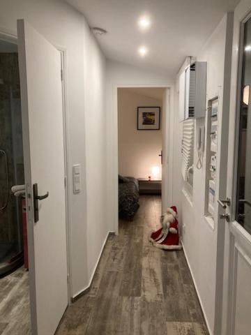 Appartement Mozart Strasburgo Esterno foto